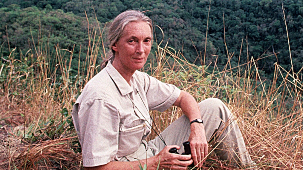 Jane Goodall Dies: Animal Activist and World-Renowned Primatologist Was 91