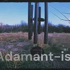 Adamant-ism