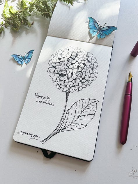 30 day drawing challenge with a fountain pen