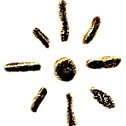 The Forbidden Library