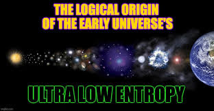 Many Worlds and Many Branches Interpretations of Quantum Mechanics