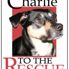 Charlie Dog