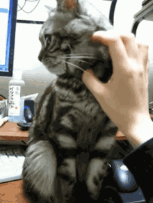 Listen. No. GIF Listen. No. GIF