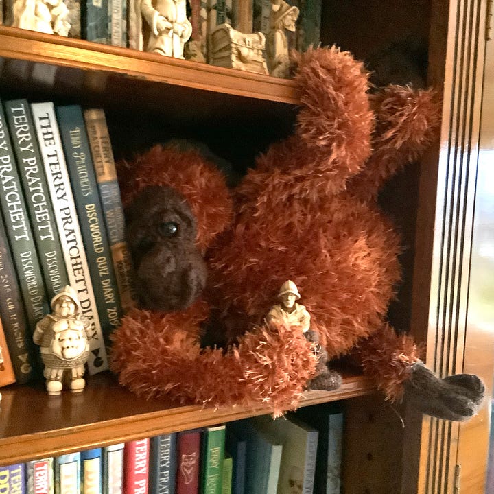 A stuffed toy orangutan in a bookcase with Terry Pratchett books and ornaments. 