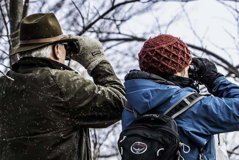 How many birds will you find in March?