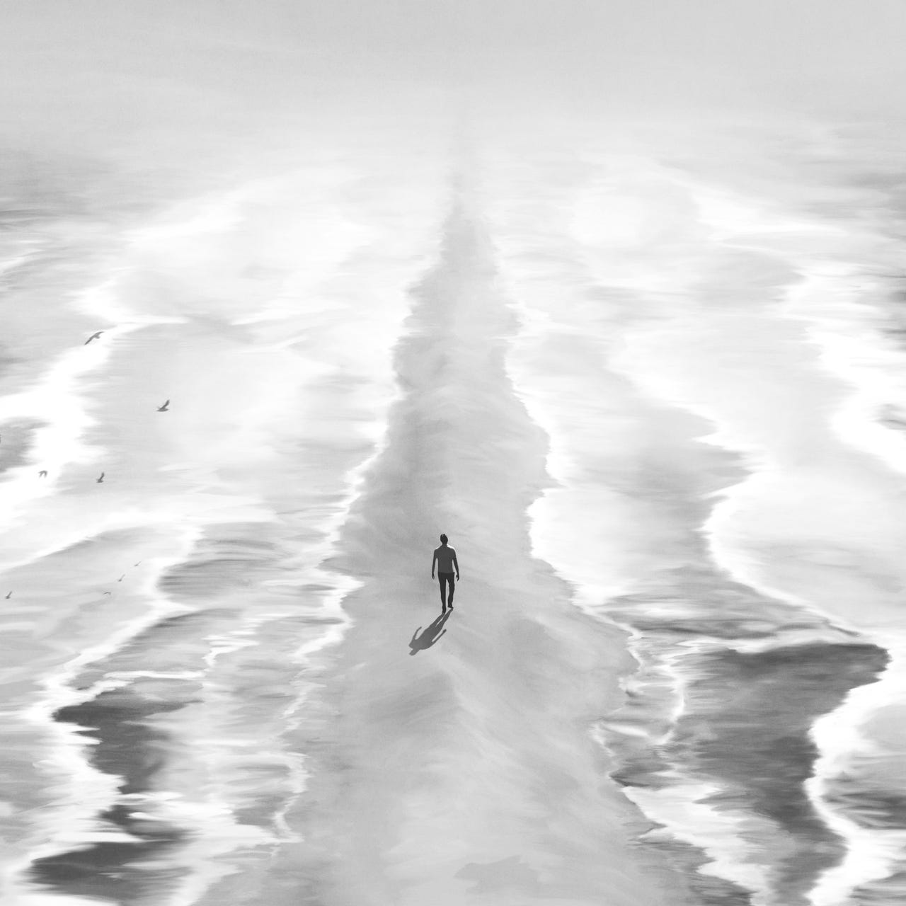 Born for a Better World