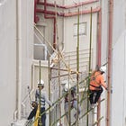 The mighty bamboo🎋