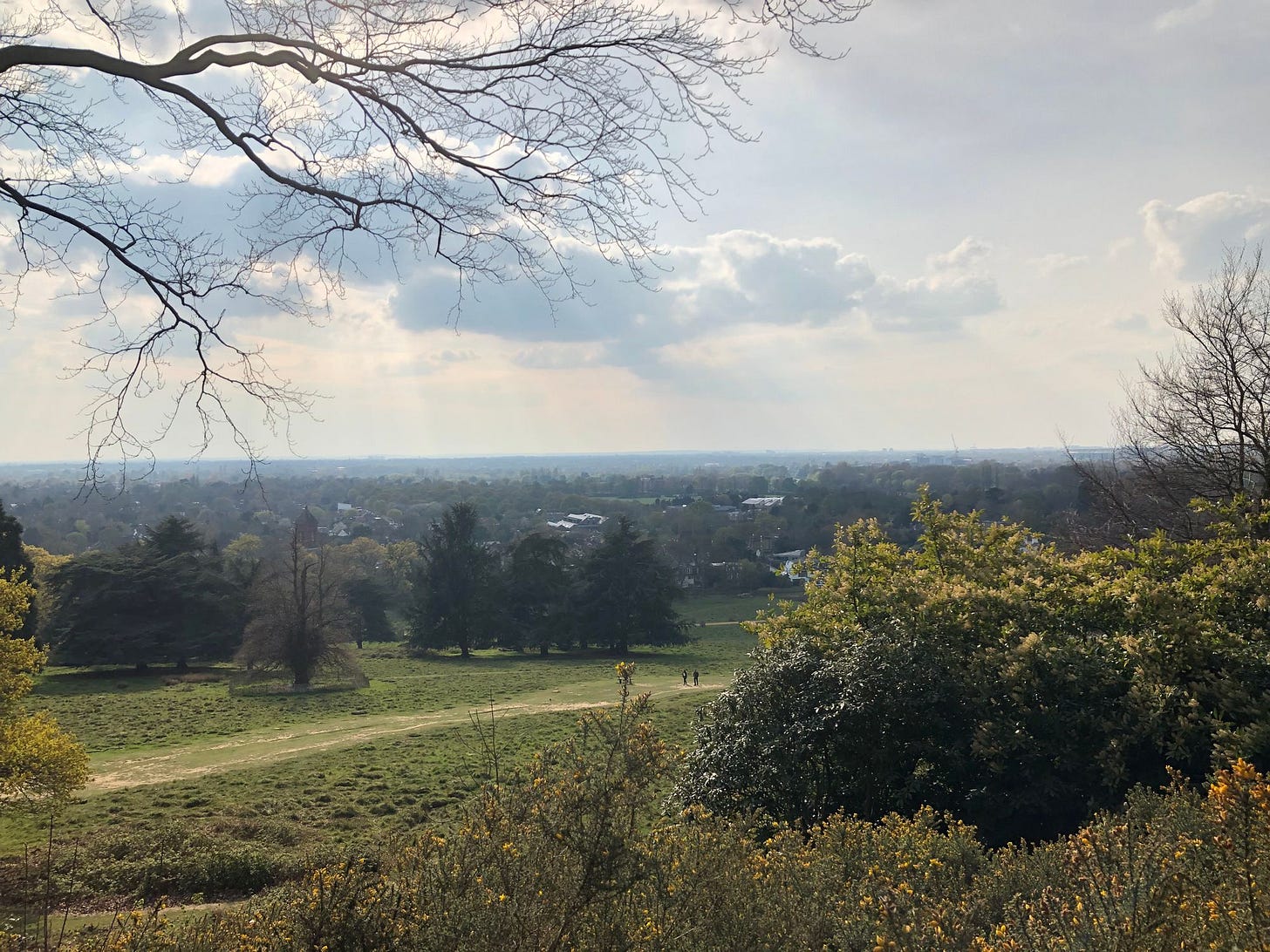 Capital Ring Walk: Wimbledon Park to Richmond Bridge