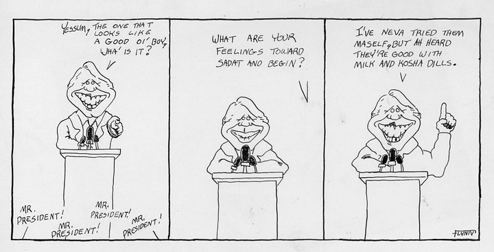 ER Flynn Comics  - The Teenage Years