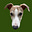 sophia's avatar