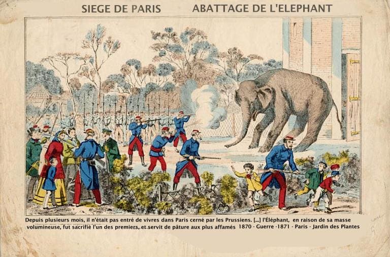 That Christmas When Parisians Ate the Zoo