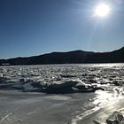 Field Notes: February 2026
