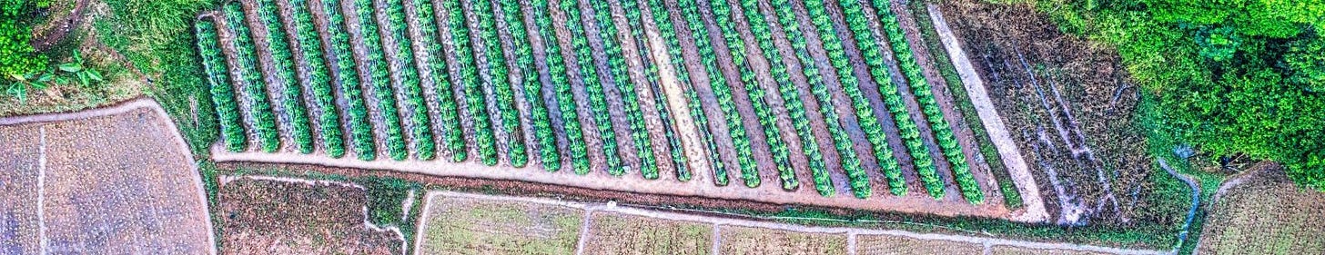 downward view of agricultural fields and surrounding area