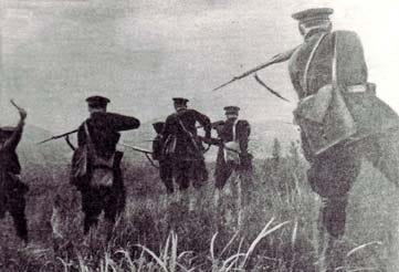 IMG_8501.jpeg IMG_8501.jpeg