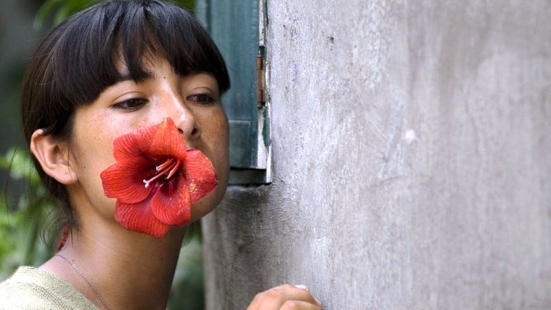 A Teta Assustada (2009) | MUBI