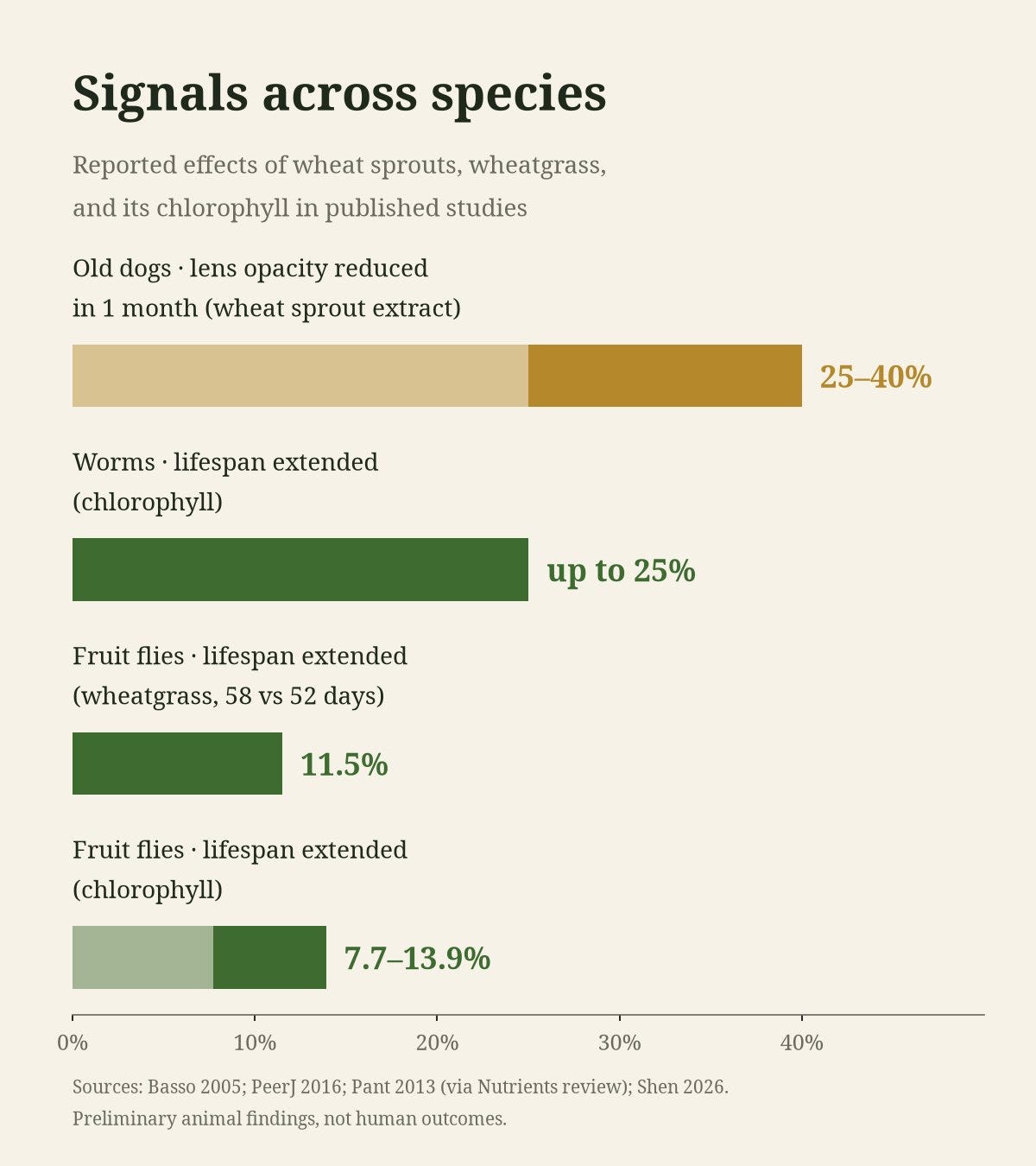 Bar chart of reported effects across species Bar chart of reported effects across species