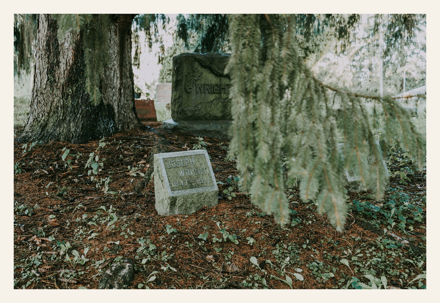 Large weeping tree Lovejoy Cemetery Durand Michigan cascading branches sheltering graves headstones natural cathedral