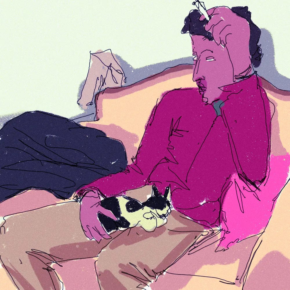 cat