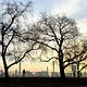 Here’s My New York