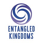 Entangled Kingdoms