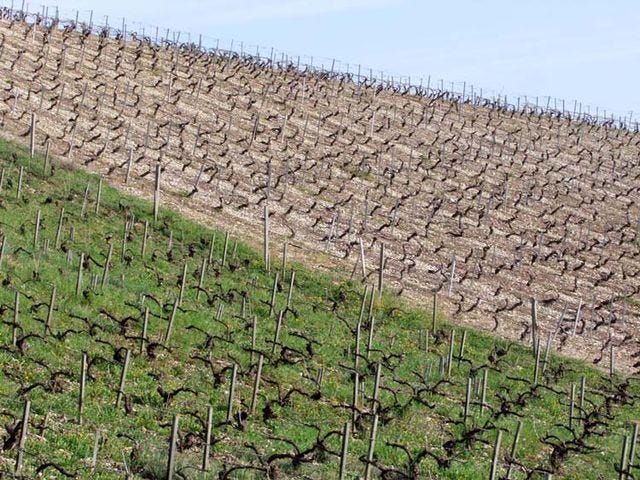 1de-moor_organic-vs-conventional