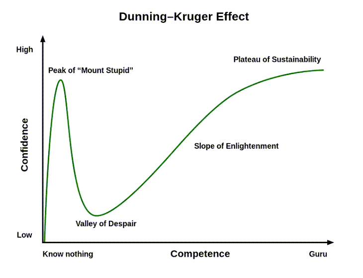 The Dunning-Kruger Effect shows a progression from: the "Peak of 'Mount Stupid'" to the "Valley of Despair" to the "Slope of Enlightenment" to the "Plateau of Sustainability."