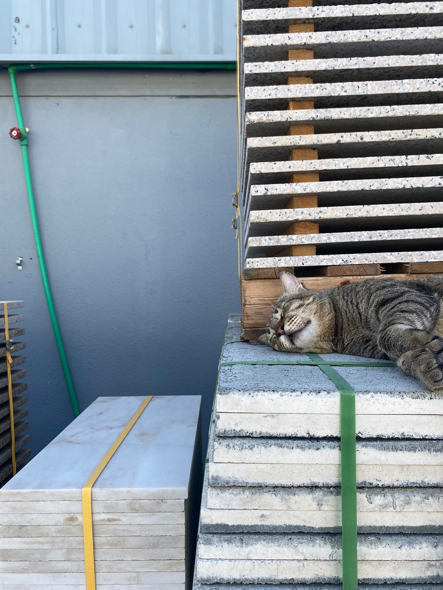 A grey cat sleeping on the side of the pavement, lying across some piled up old marble tiles.