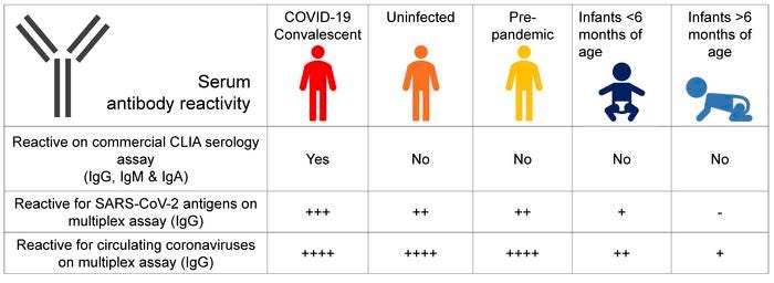 graphical abstract