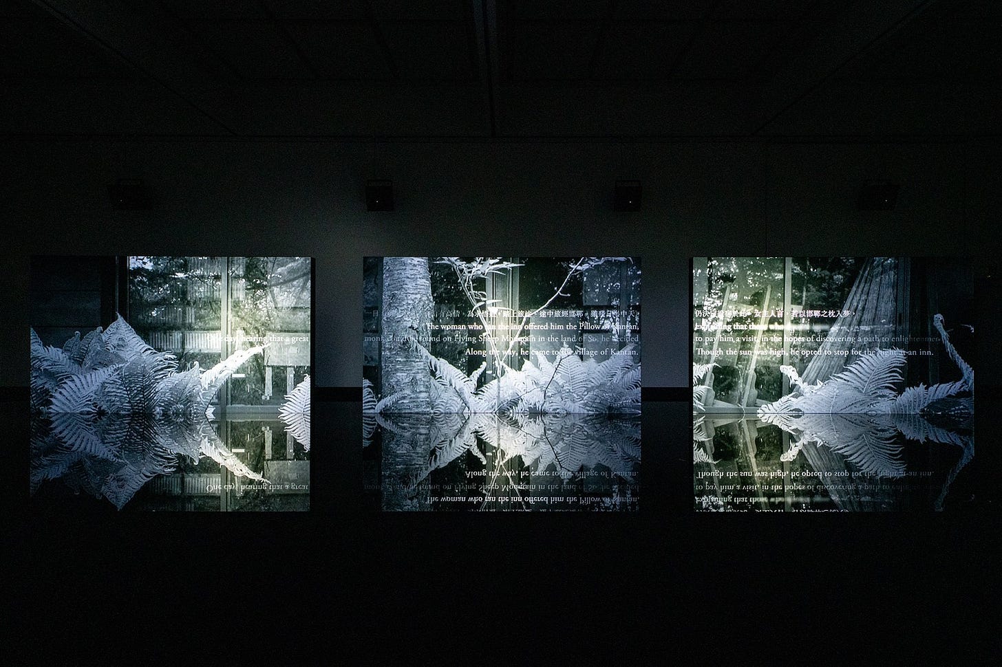 《TIME TIME》展場照|來源:Kazuo Fukunaga / Museum of Contemporary Art Tokyo(©2024 KAB Inc.) 《TIME TIME》展場照|來源:Kazuo Fukunaga / Museum of Contemporary Art Tokyo(©2024 KAB Inc.)