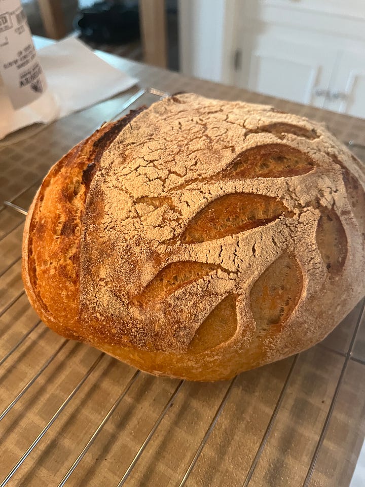 Two round loaves of sourdough bread cooling on my counter. The one on the left is a caraway rye with a darker crust and a pleasing long expansion gash along the top. the loaf on the right is a white bread with som pretty leaves cut into the top