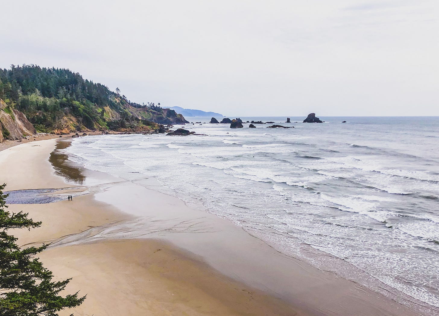 A large beach surrounded by cliffside trees.