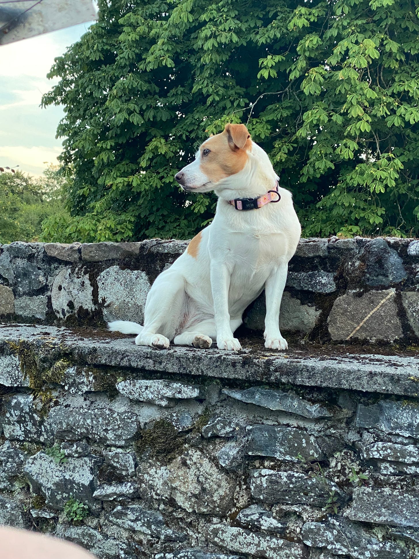 Clara on the private terrace at Legan Castle in Kilkenny