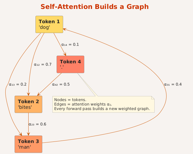 Token Graph Why Transformers Are Graph Neural Networks in Disguise