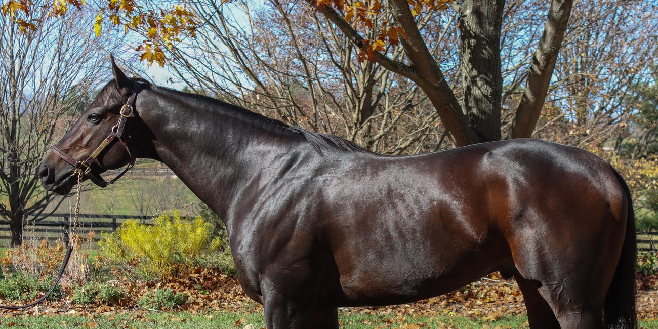 Housatonic Recommended Matings for 2024 - Itgetsgreaterlater