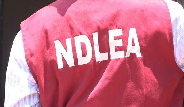 NDLEA agent