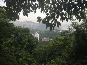 Hong Kong trails!
