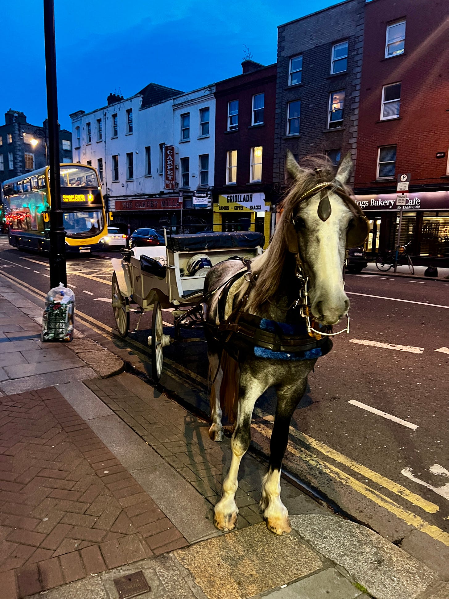 Horse-drawn carriage parked on a Dublin street at dusk with a double-decker bus passing behind. Horse-drawn carriage parked on a Dublin street at dusk with a double-decker bus passing behind.