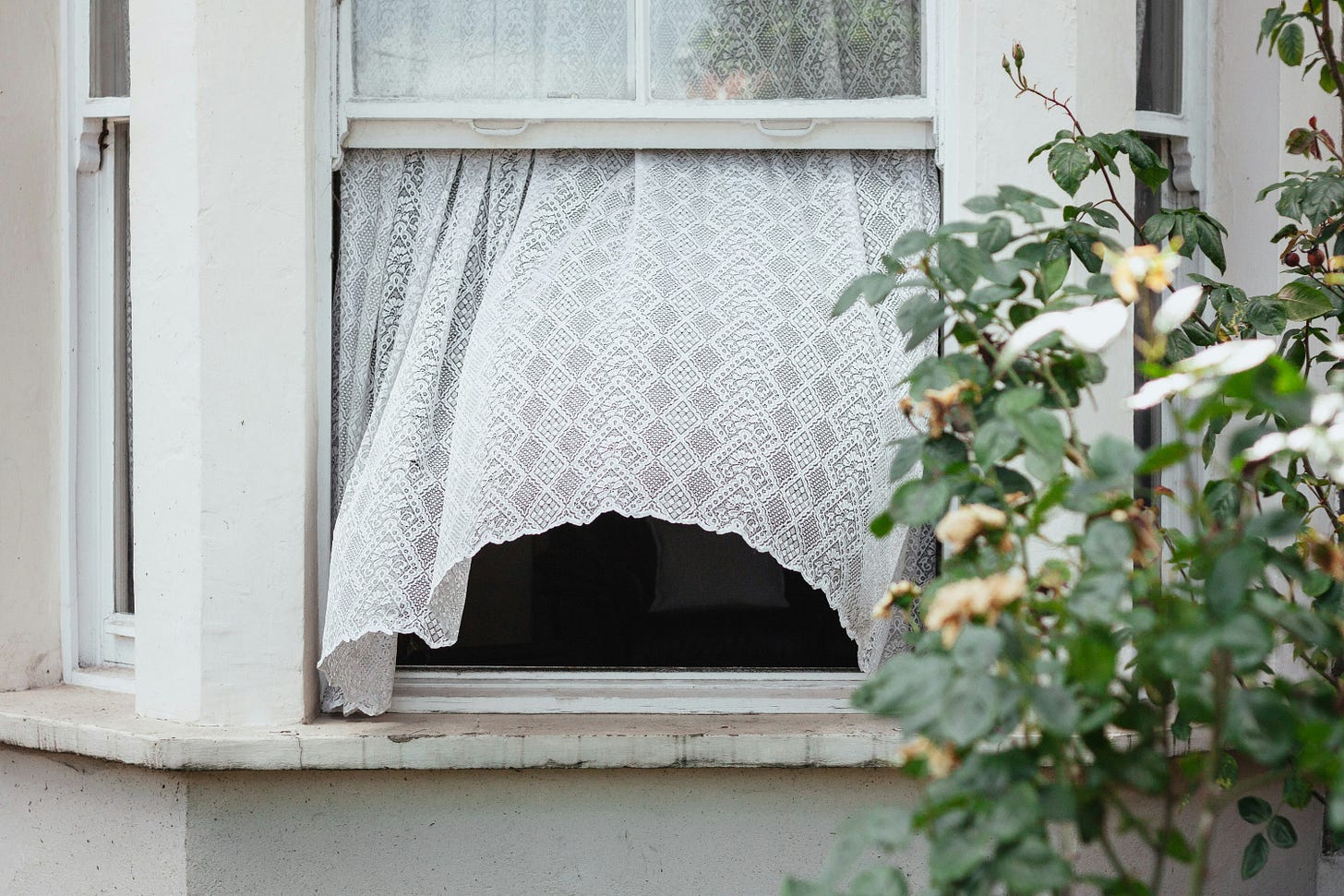 A breeze pushes the bottom of a white lacey curtain out through an open window A breeze pushes the bottom of a white lacey curtain out through an open window