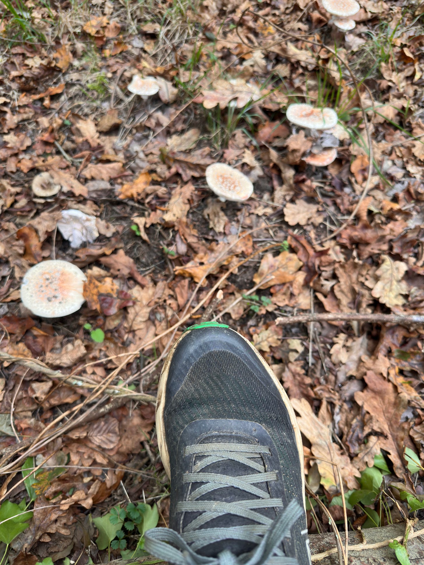 Yo en una de las rutas de montaña