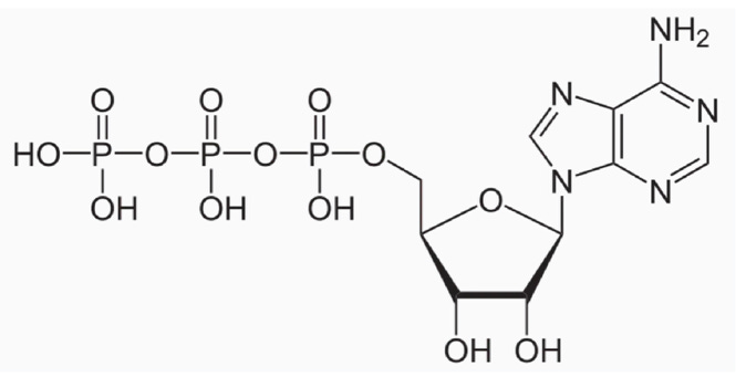 A structure of a chemical formula

AI-generated content may be incorrect.