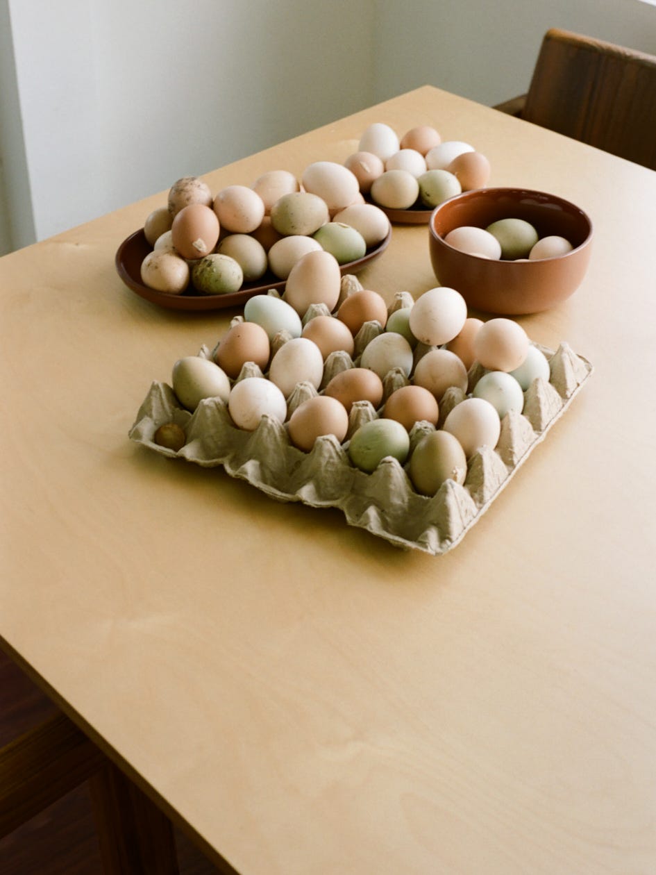 Eggs from Balo's chickens on his kitchen table