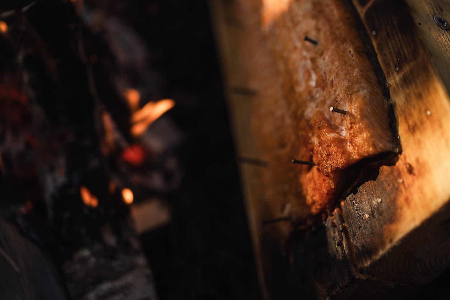 flamed salmon finnish campfire