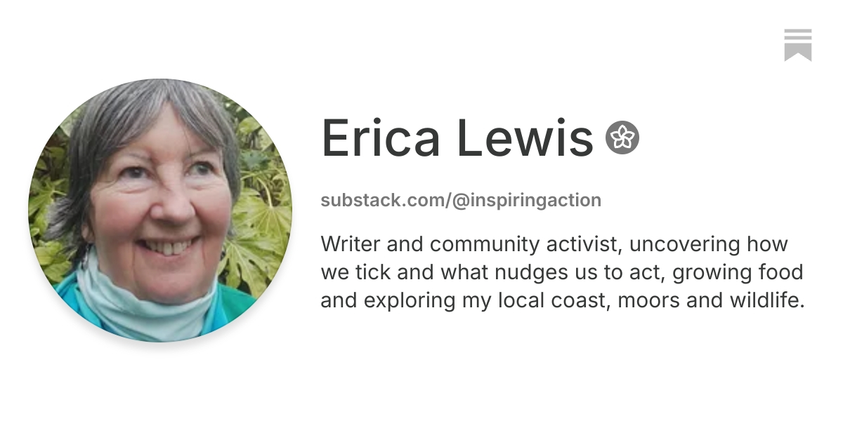 Erica Lewis | Substack