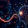 The Binary Brain