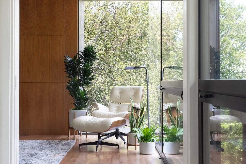 How to arrange indoor plants