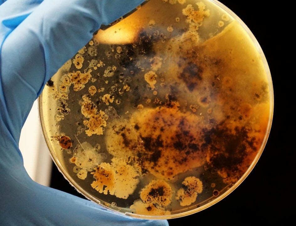 person in white long sleeve shirt holding blue ceramic plate with brown soup