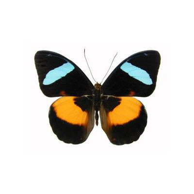 Me and All My Ghosts