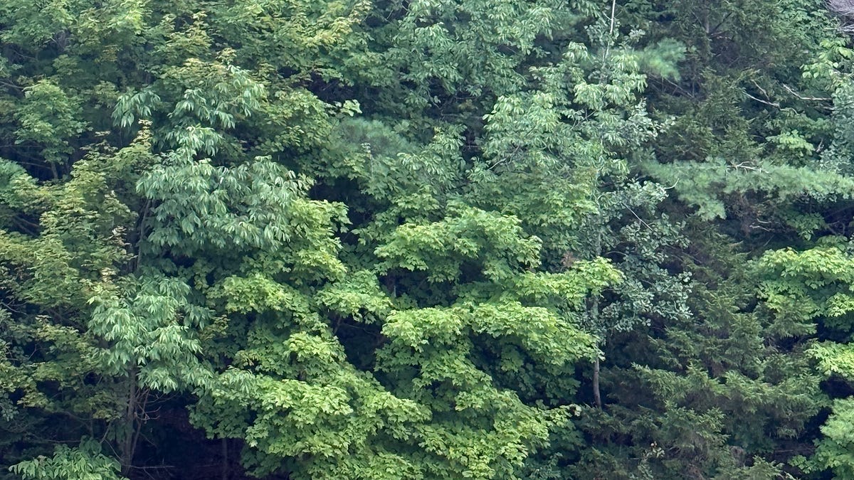 The Small Journeys of Autumn