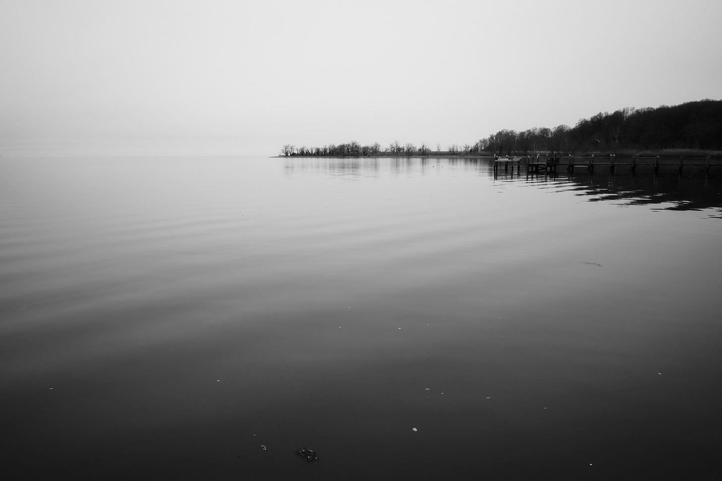 Neighborhood harbor in fog and mist 2026