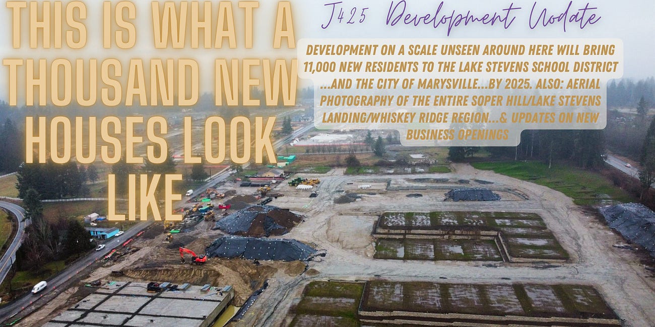 THIS IS WHAT A THOUSAND HOUSES LOOKS LIKE